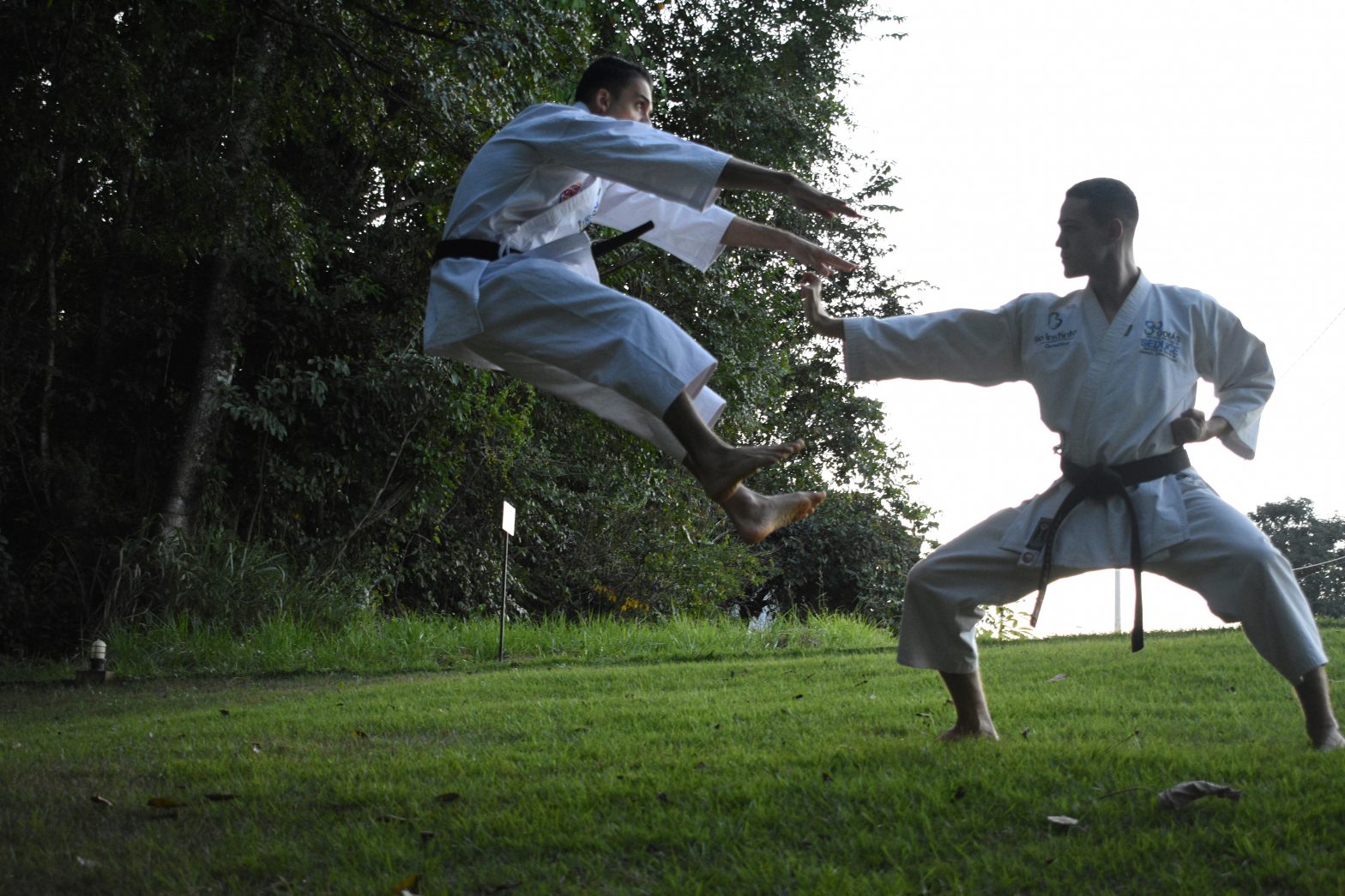 Kung-Fu - the art of mastering anything - like sales performance